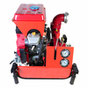 BSWP30IH-PRO