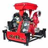 BSWP30IH-PRO