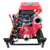 BSWP30IH-PRO